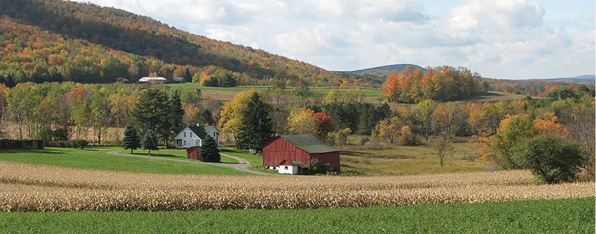 Rural Ontario landscape with red barn and farmhouse